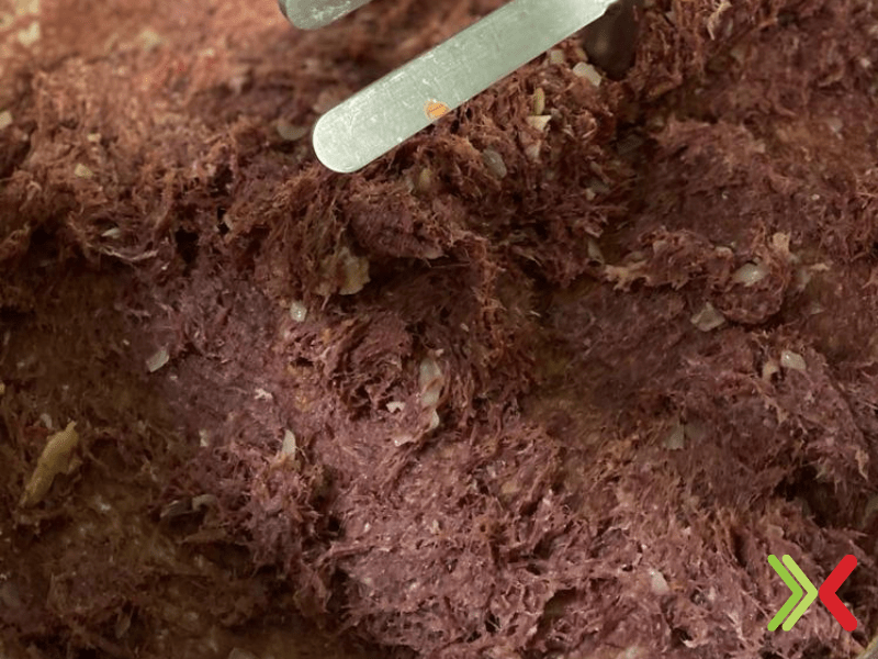 Recheio de carne seca para salgados: receita para produção profissional
